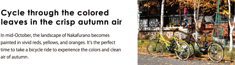 Cycle through the colored leaves in the crisp autumn air