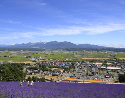 Hokuseiyama Lavender Field and Ski Area