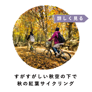 すがすがしい秋空の下で秋の紅葉サイクリング