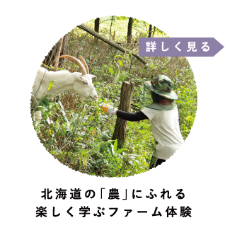 北海道の「農」にふれる楽しく遊ぶファーム体験