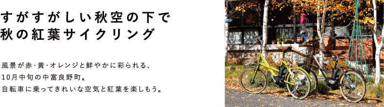 秋の紅葉サイクリング