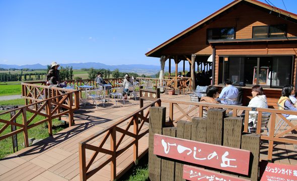 ジンギスカン&ふれあい牧場 ひつじの丘 - なかふらの観光協会 | 北海道らしい風景と穏やかな時間