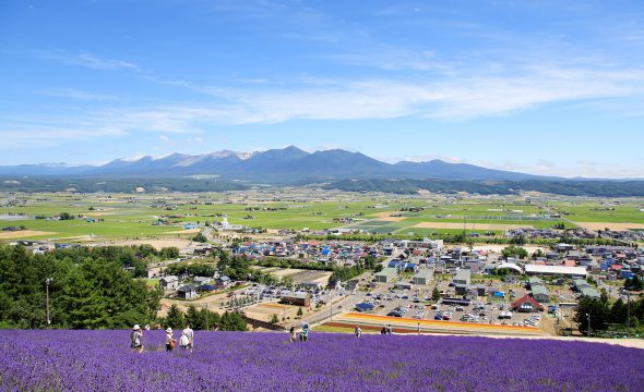 image／Choei Lavender Park and Hokusei Ski Area